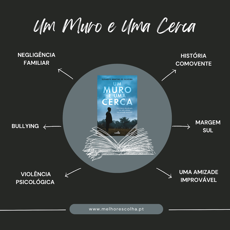 Um-Muro-e-Uma-Cerca-Caracteristicas